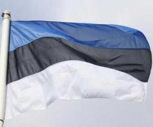 yapboz Estonya bayrağı